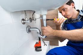 Best Pipe Inspections and Diagnostics  in Pelzer, SC